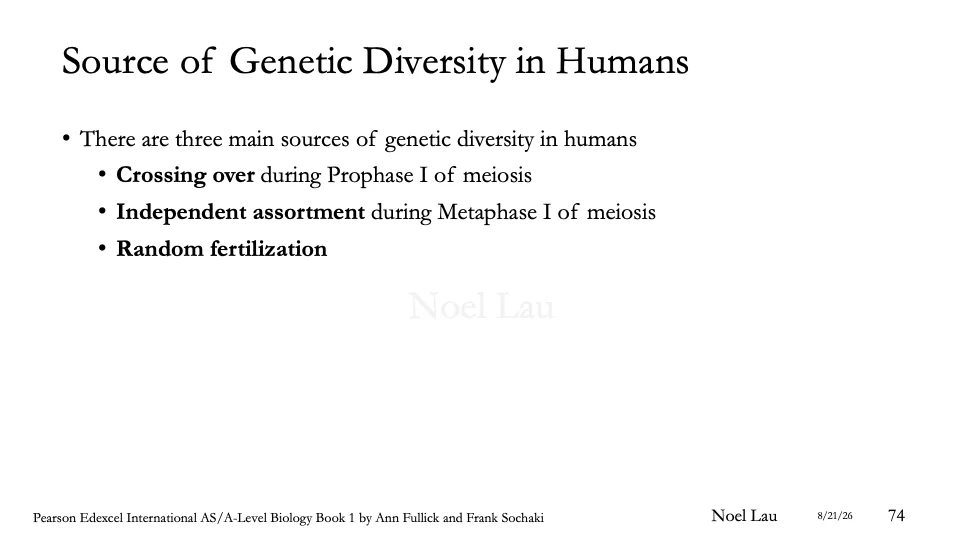 Slide 74
