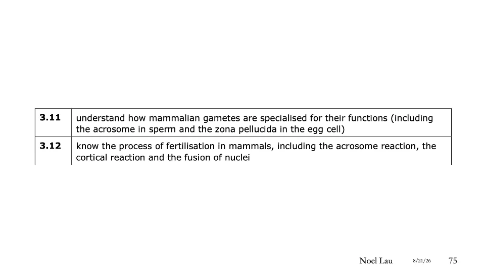 Slide 75