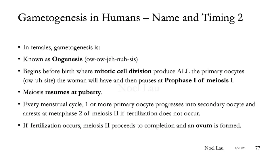 Slide 77