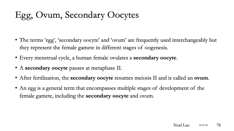 Slide 78