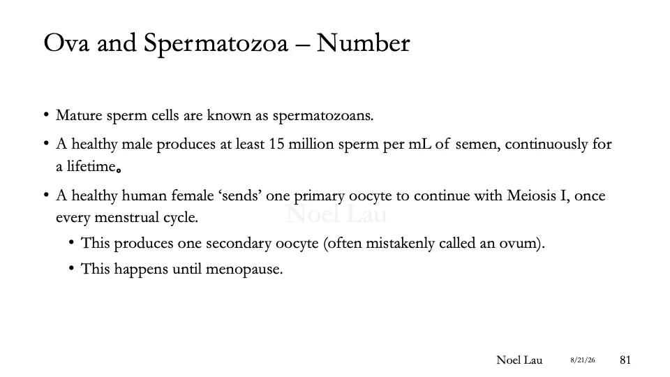 Slide 81