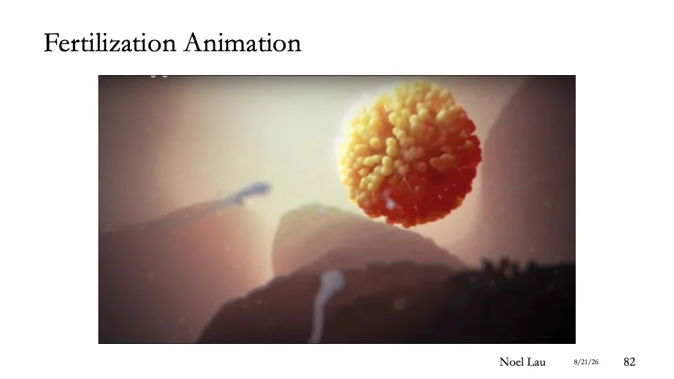 Slide 82