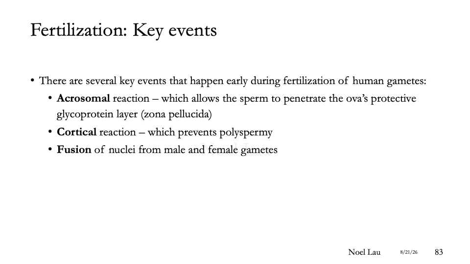 Slide 83