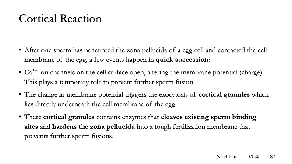 Slide 87
