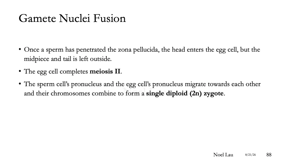 Slide 88