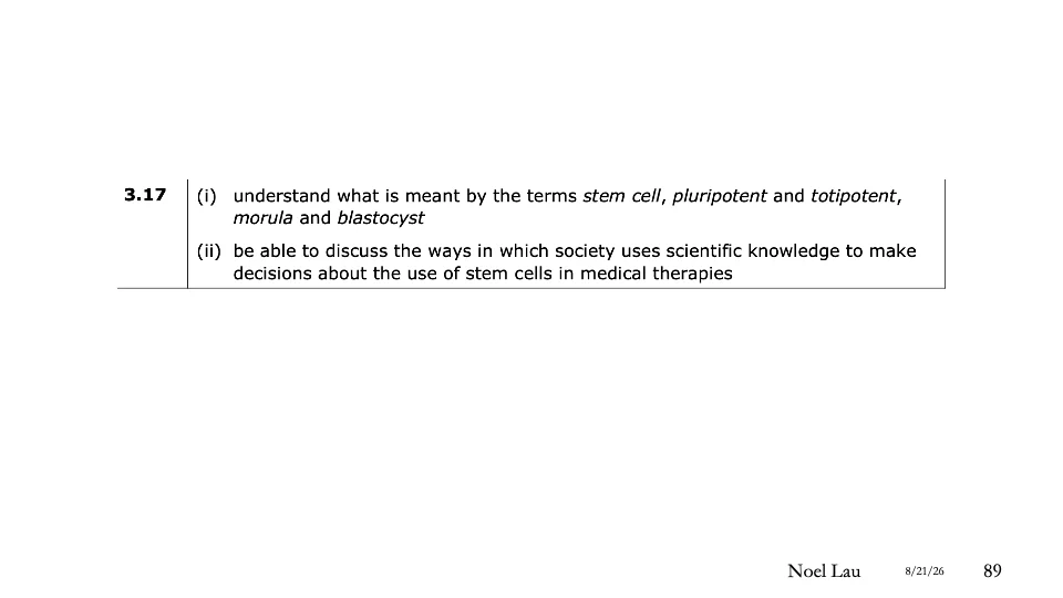 Slide 89