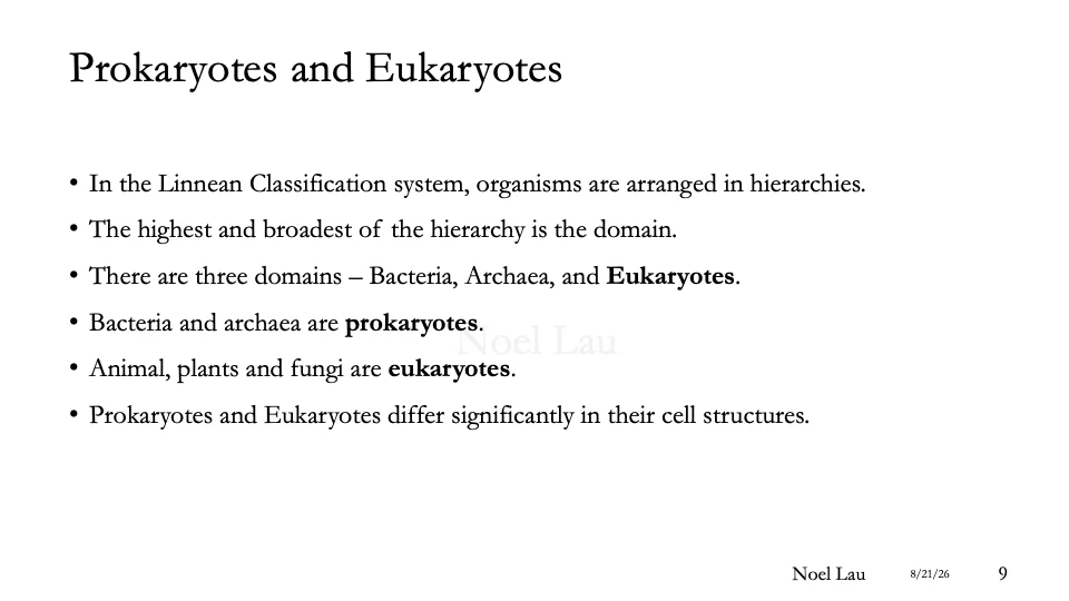 Slide 9
