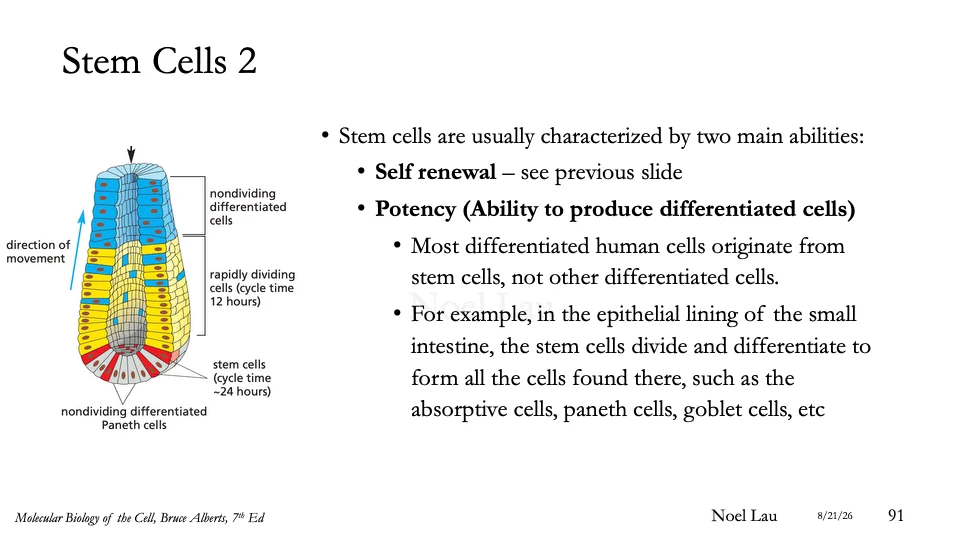 Slide 91