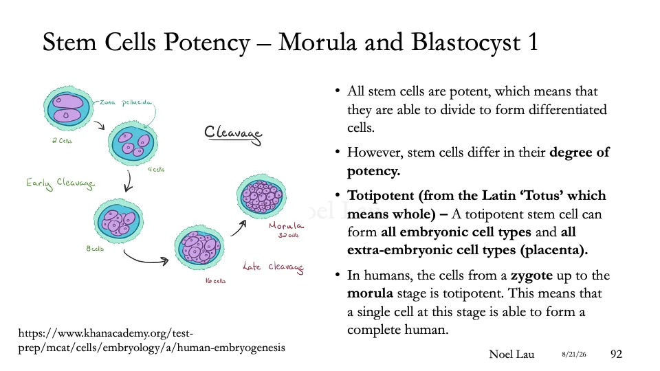 Slide 92