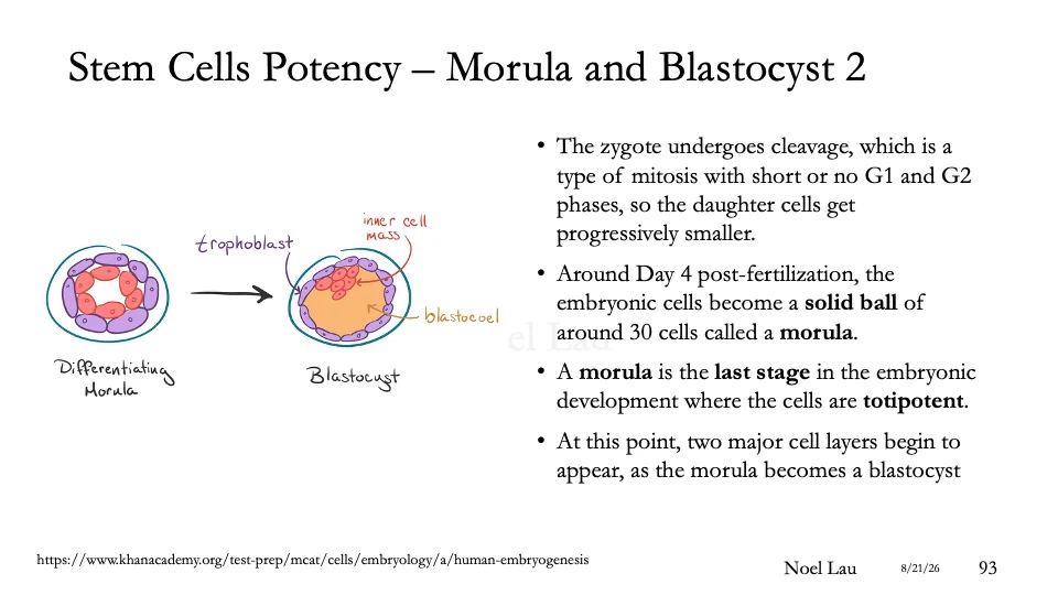 Slide 93