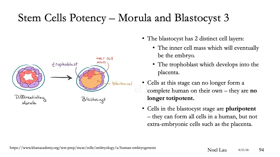Slide 94