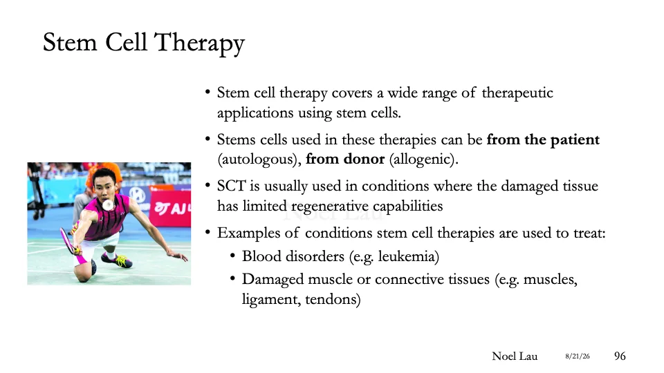 Slide 96