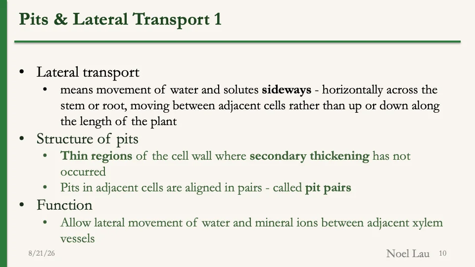 Slide 10