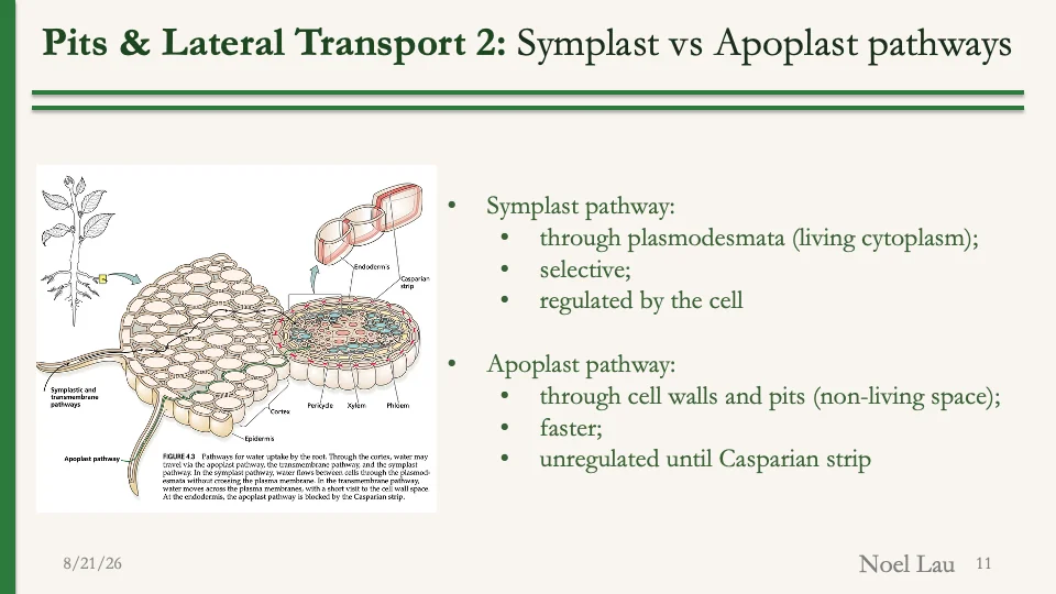 Slide 11