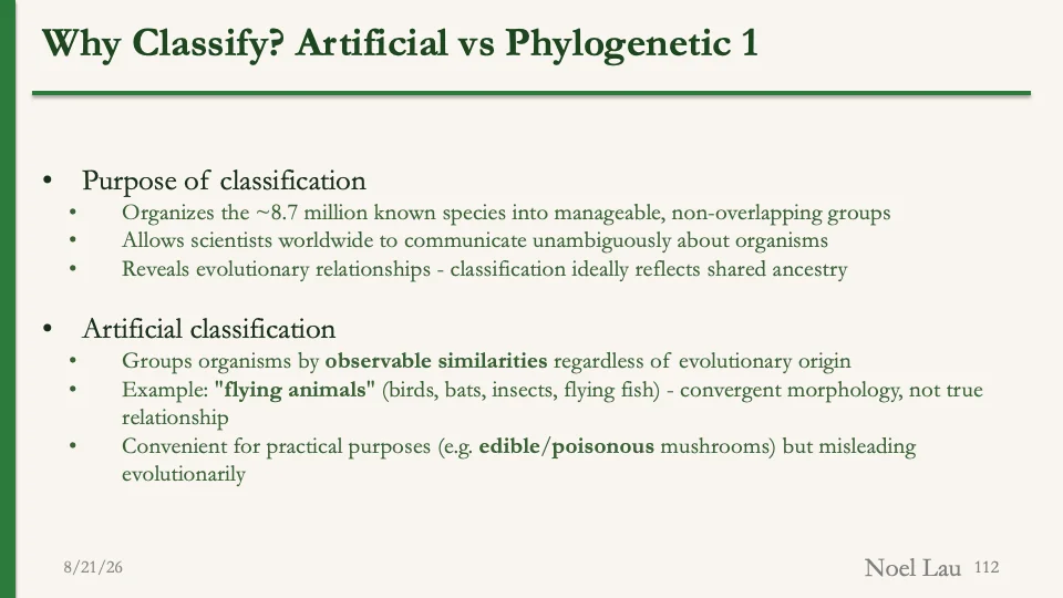 Slide 112