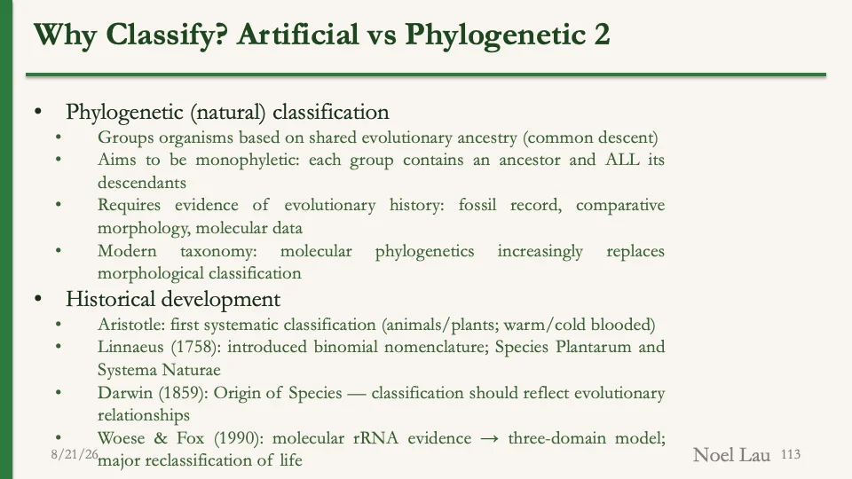 Slide 113
