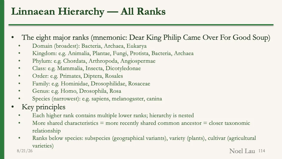 Slide 114