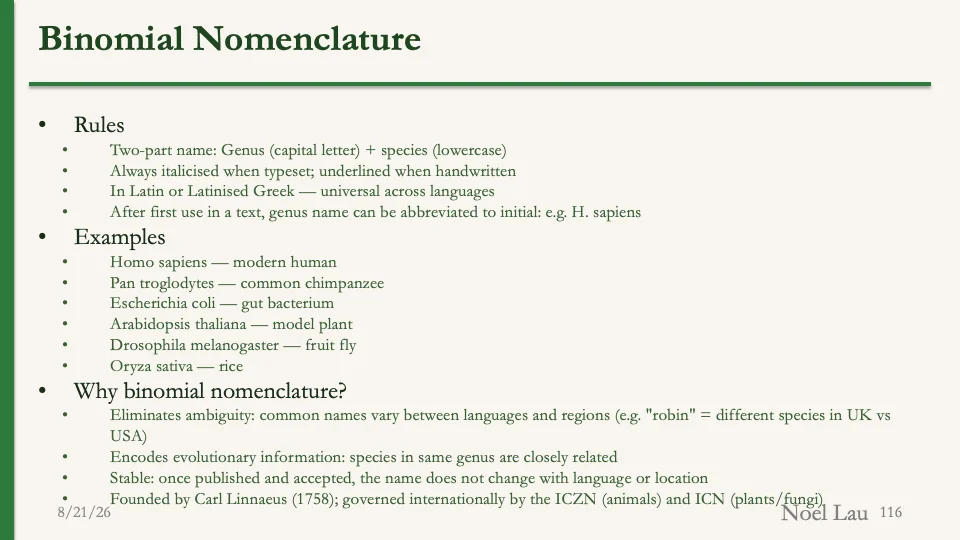 Slide 116