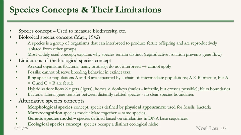 Slide 117