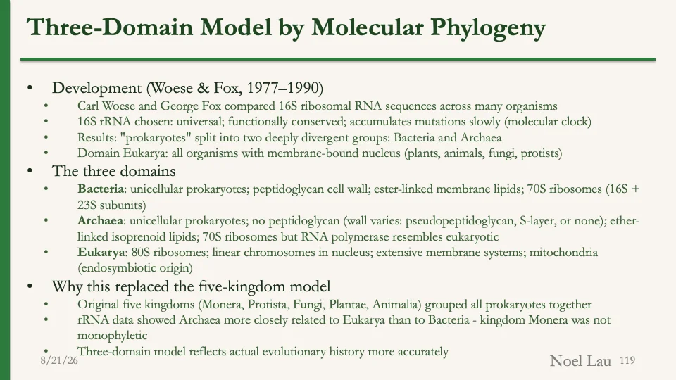 Slide 119