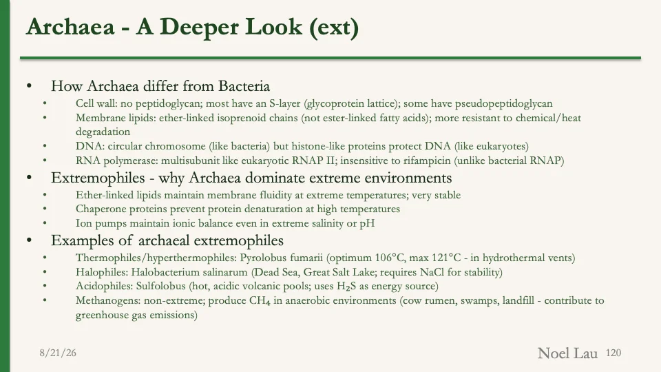 Slide 120
