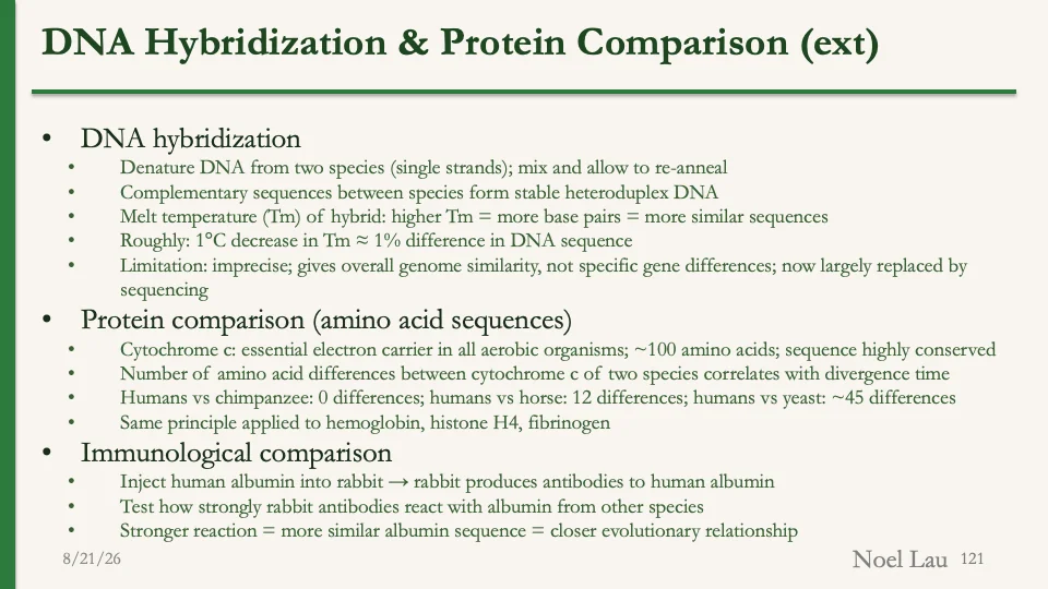 Slide 121