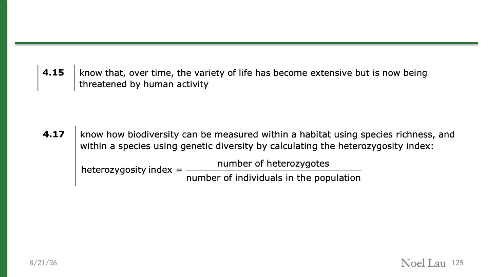 Slide 125