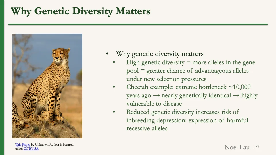 Slide 127