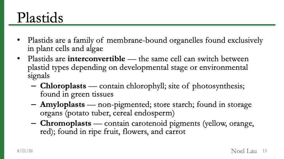 Slide 13