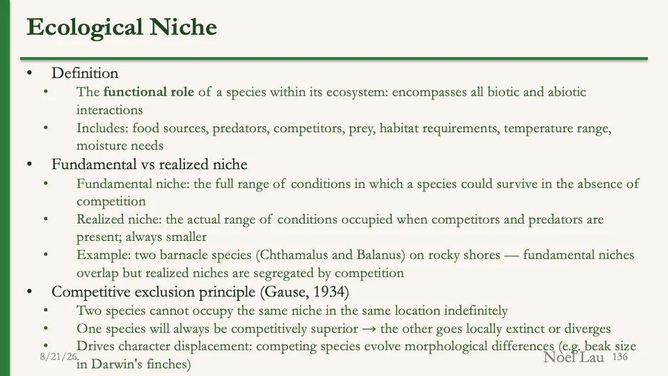 Slide 136