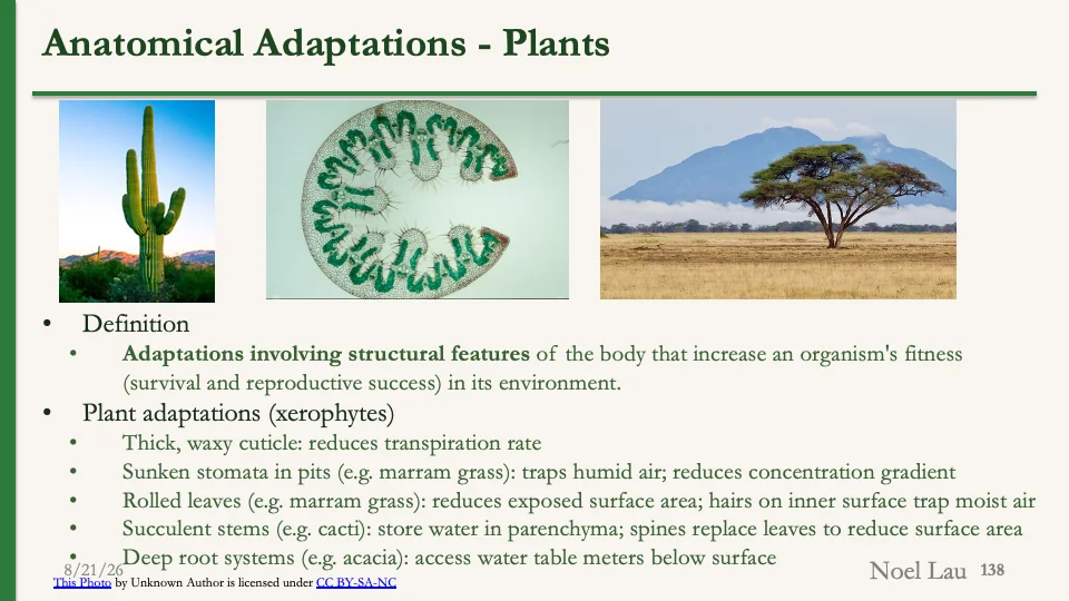 Slide 138