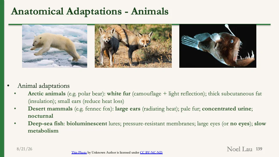 Slide 139