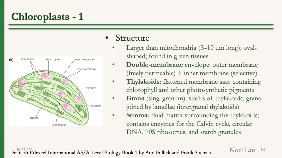 Slide 14
