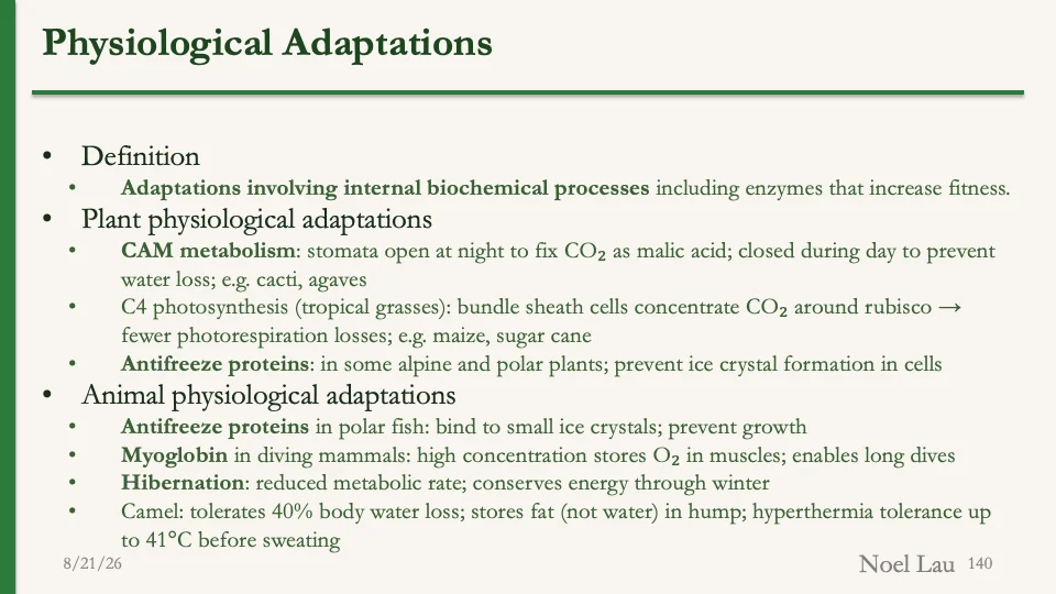 Slide 140