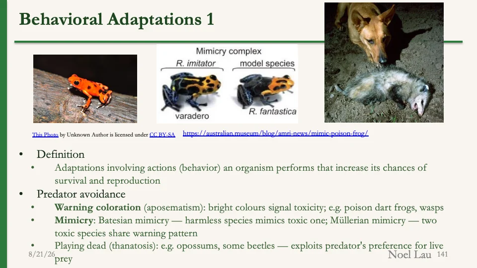 Slide 141