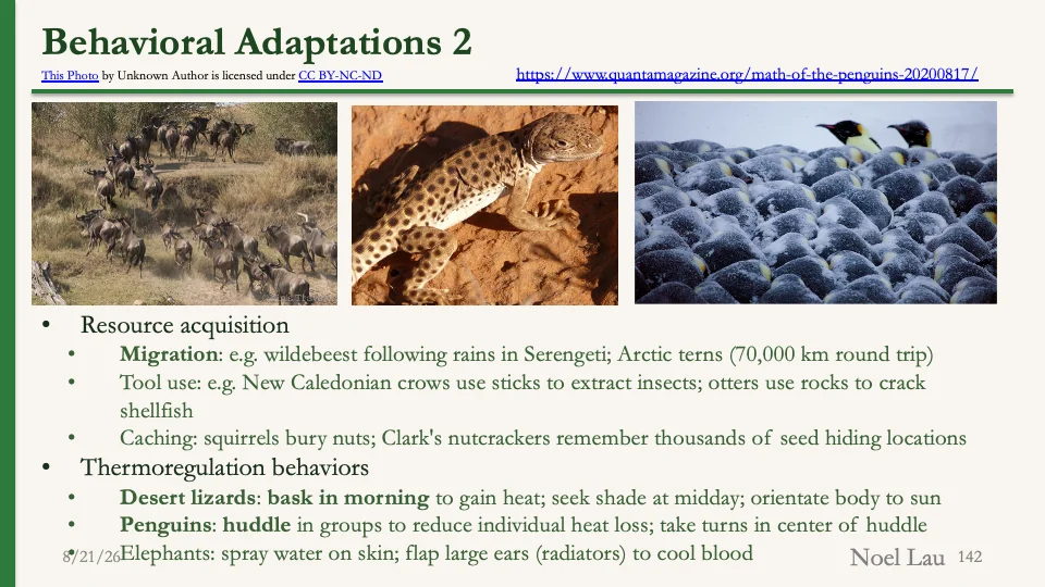 Slide 142