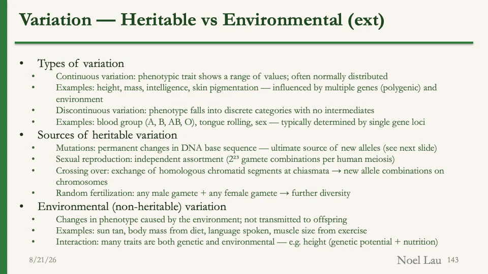 Slide 143