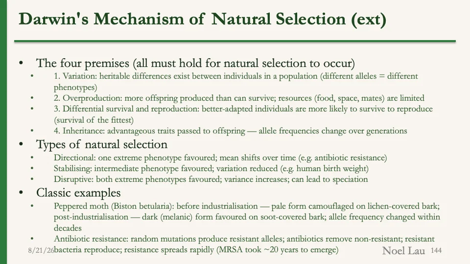 Slide 144