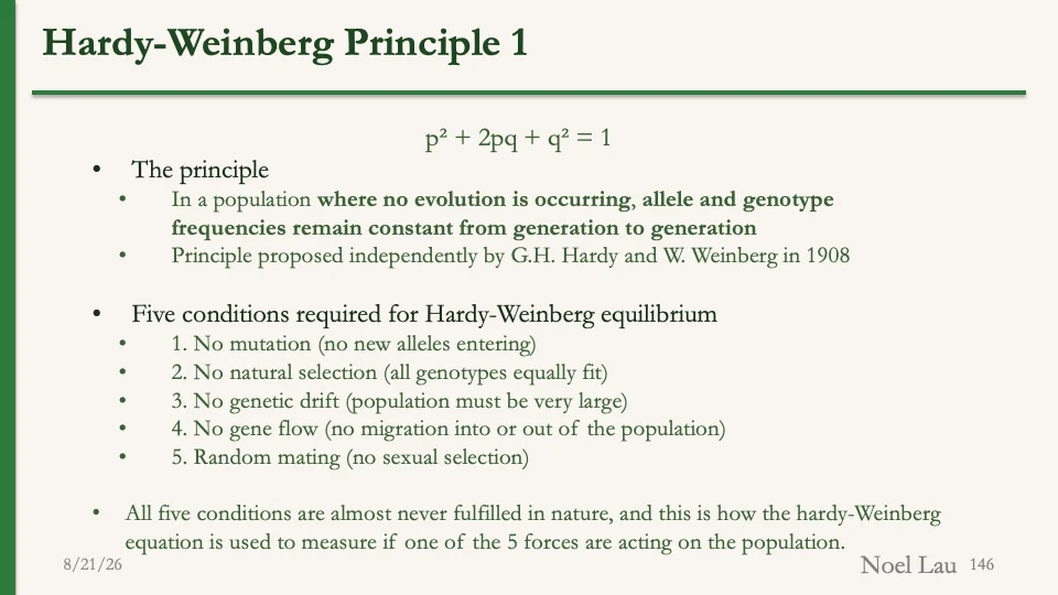 Slide 146