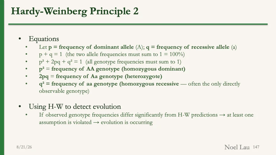Slide 147