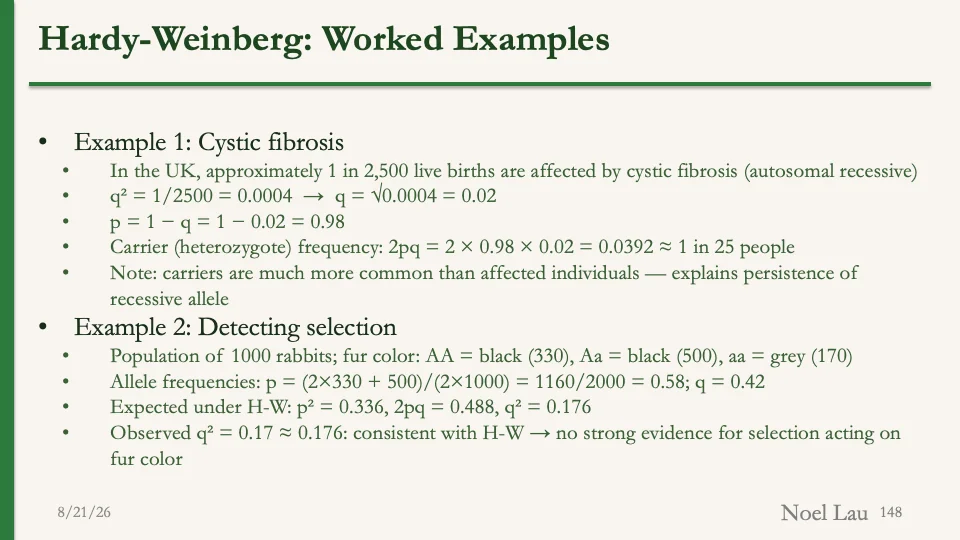 Slide 148