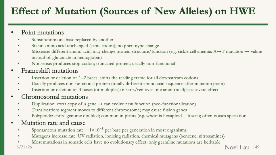 Slide 149