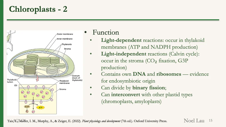 Slide 15