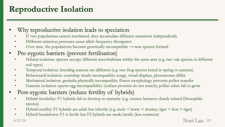 Slide 151