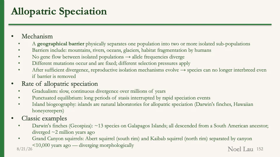 Slide 152