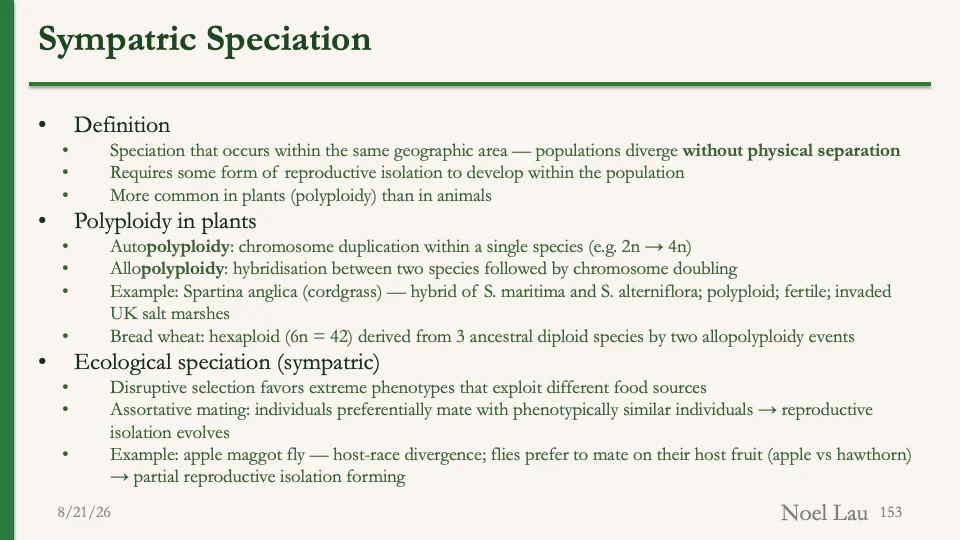 Slide 153