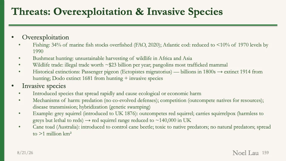 Slide 159