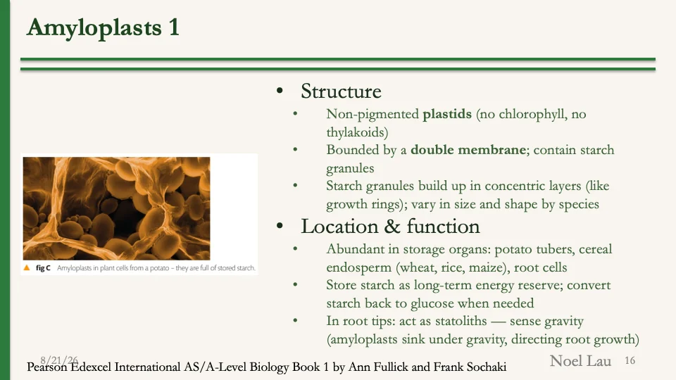 Slide 16