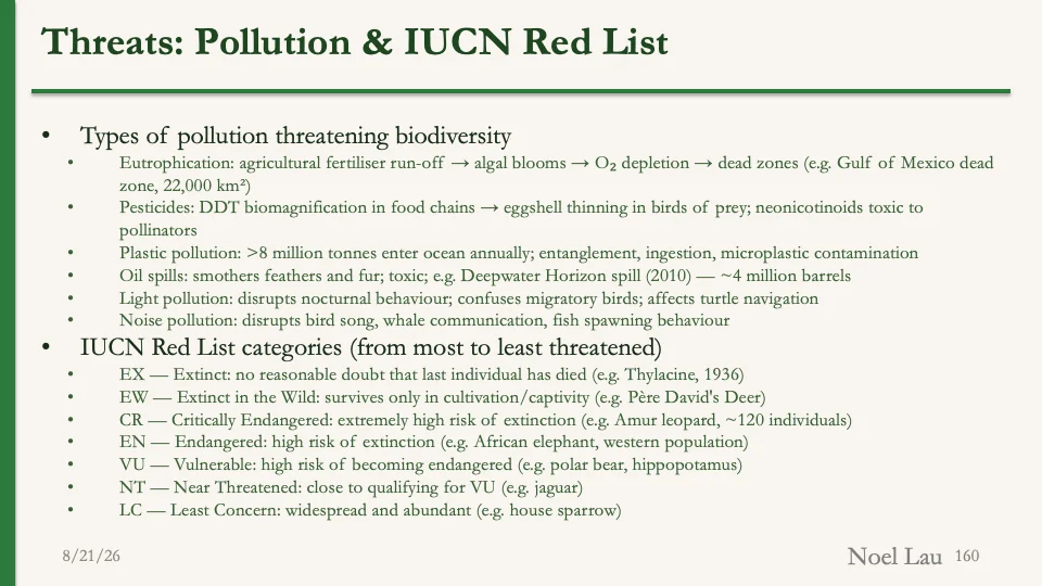 Slide 160