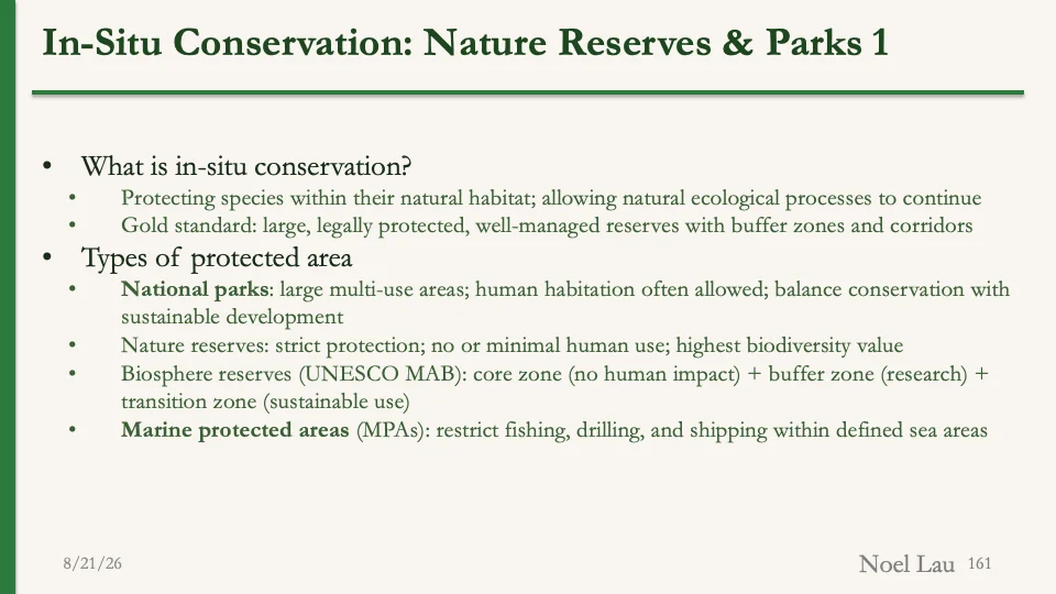 Slide 161